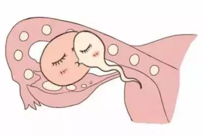 璟华生殖医学中心